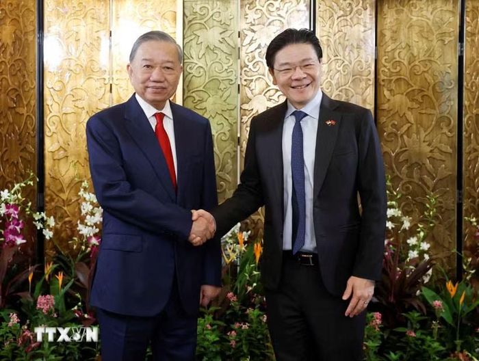Tổng Bí thư, Chủ tịch nước Tô Lâm hội đàm với Thủ tướng Singapore Lawrence Wong. Ảnh: Thống Nhất/TTXVN