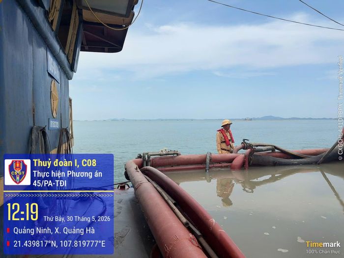Các phương tiện vi phạm.