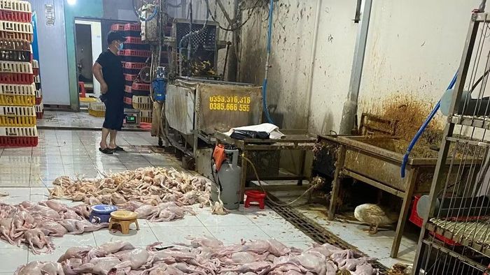  Địa điểm giết mổ vịt, gà trái phép, không đảm bảo vệ sinh tại một chợ trên địa bàn phường Thới Hòa. 