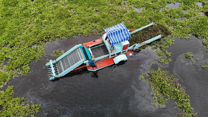 Máy gom cắt bèo chuyên dụng phục vụ công tác vệ sinh môi trường sông nước.