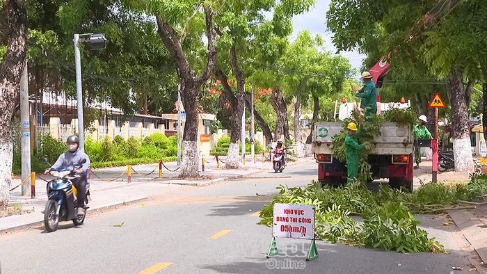 Công nhân Trung tâm Dịch vụ đô thị Bạc Liêu cắt tỉa cây xanh trên tuyến đường trung tâm nhằm phòng ngừa nguy cơ cây ngã đổ trong mùa mưa.
