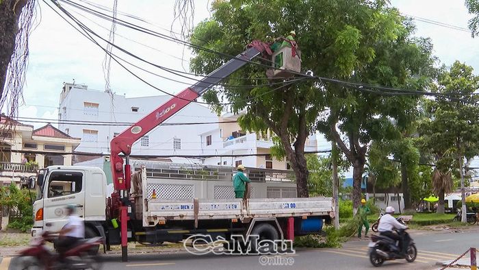 Việc cắt tỉa cây xanh được thực hiện bằng xe nâng chuyên dụng tại những vị trí cây lớn, tán rộng và gần khu dân cư.