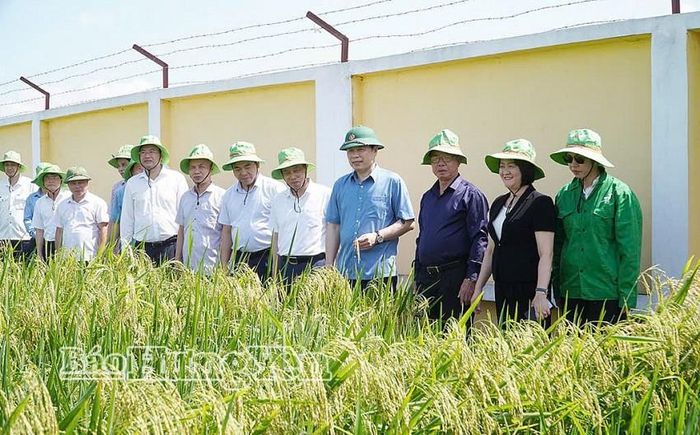  Đoàn công tác của tỉnh Hưng Yên do ông Trần Quốc Toản, Phó Bí thư Thường trực Tỉnh ủy, Chủ tịch Ủy ban MTTQ Việt Nam tỉnh làm trưởng đoàn đã đến thăm mô hình các giống cây trồng mới, nhà máy chế biến hạt giống và làm việc với Công ty Cổ phần Tập đoàn ThaiBinh Seed, xã Bắc Đông Hưng. Ảnh nguồn Báo Hưng Yên.
