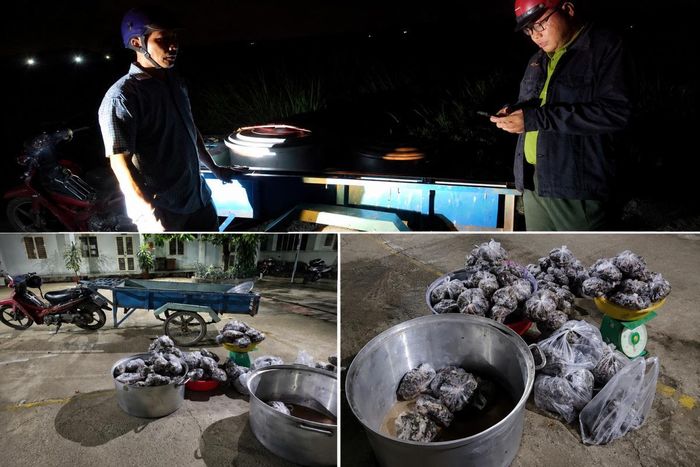 Lực lượng kiểm lâm kiểm tra phương tiện và tang vật trong vụ vận chuyển trái phép 127kg thằn lằn Núi Bà Đen. Ảnh: Chi cục Kiểm lâm Tây Ninh.