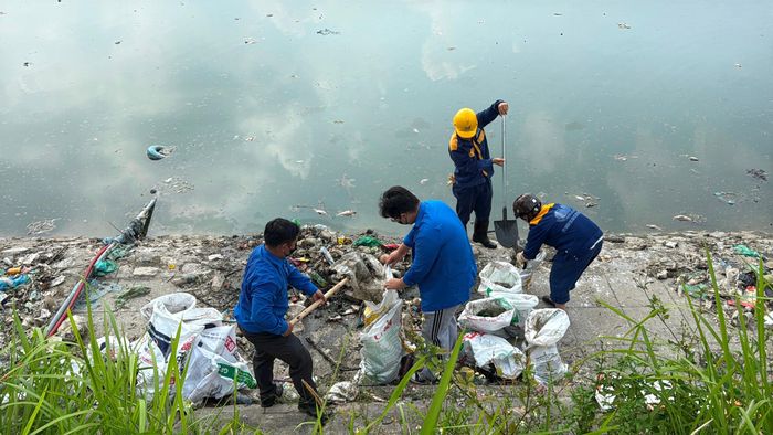 Cá chết và rác thải vớt được dưới hồ sẽ được cho vào bao tải để chuyển đi. Ảnh: Vân Nhi