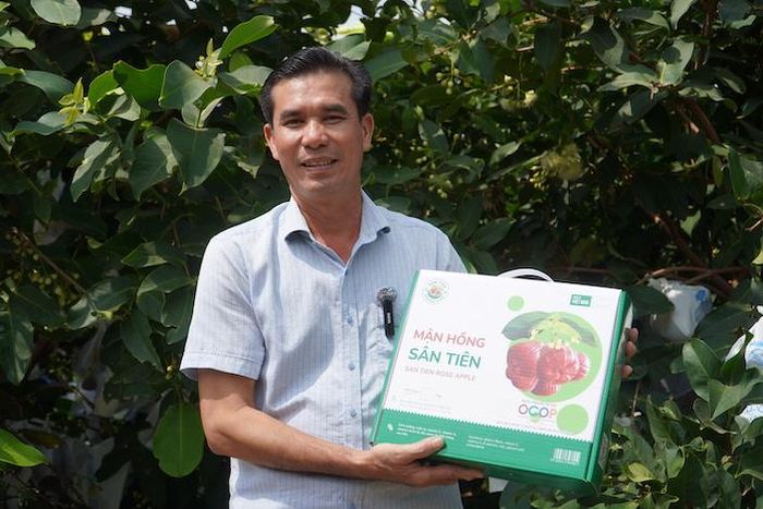Mận hồng Sân Tiên của ông Trần Văn Phục, ngụ xã Cù Lao Dung, thành phố Cần Thơ đang là loại cây trồng thu hút sự chú ý, bởi giá bán gấp nhiều lần so với sầu riêng RI6 hàng loại A ở thời điểm hiện tại.