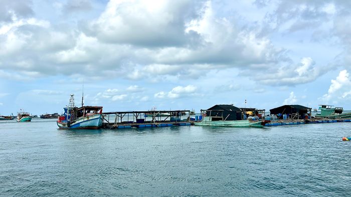  Hiện đặc khu Kiên Hải đã có trên 200 hộ nuôi cá lồng bè với gần 1.200 lồng bè, sản lượng trung bình hằng năm đạt khoảng 1.200 tấn. 