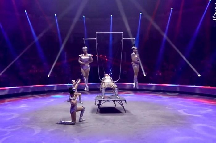 Tiết mục đòi hỏi kỹ thuật cao, sự phối hợp chính xác và khả năng kiểm soát cơ thể tốt của các nghệ sĩ trong suốt quá trình biểu diễn