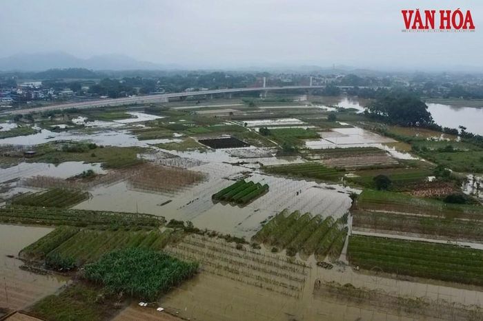Vựa rau khu vực cầu Huống Thượng bị thiệt hại nặng nề sau khi trận bão lớn đổ bộ, ghi nhận thời điểm hồi tháng 10.2025