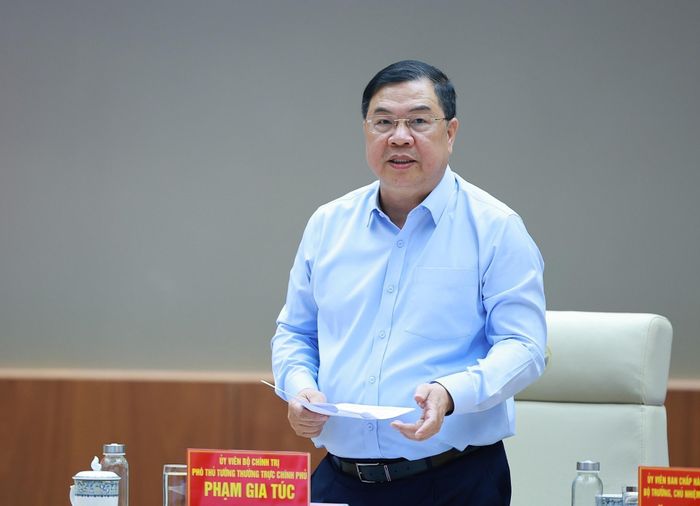 Phó Thủ tướng Thường trực Phạm Gia Túc phát biểu. Ảnh: Dương Giang – TTXVN
