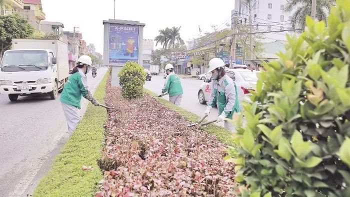 Nhân viên Công ty cổ phần Môi trường và Công trình đô thị Phúc Yên chăm sóc cây hoa đường phố.