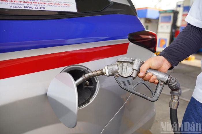 Không chỉ các cửa hàng xăng dầu thuộc hệ thống Petrolimex, các cây xăng tư nhân cũng đã bắt đầu chuyển sang kinh doanh xăng sinh học E10.