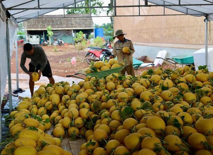 Công nghệ đang giúp ngành nông nghiệp phát triển theo hướng an toàn và bền vững.
