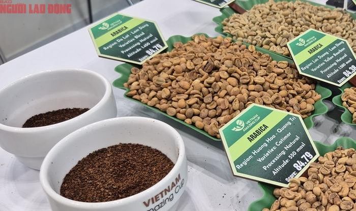Đơn giá xuất khẩu Arabica 4 tháng đầu năm 2026 bình quân đạt 6.381 USD/tấn