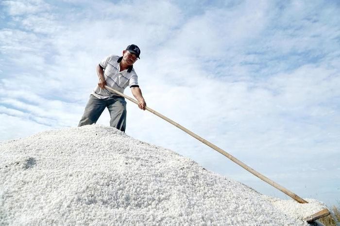 Muối An Ngãi từ lâu nổi tiếng suốt hàng trăm năm qua và là nguồn sống của rất nhiều hộ gia đình khu vực này.