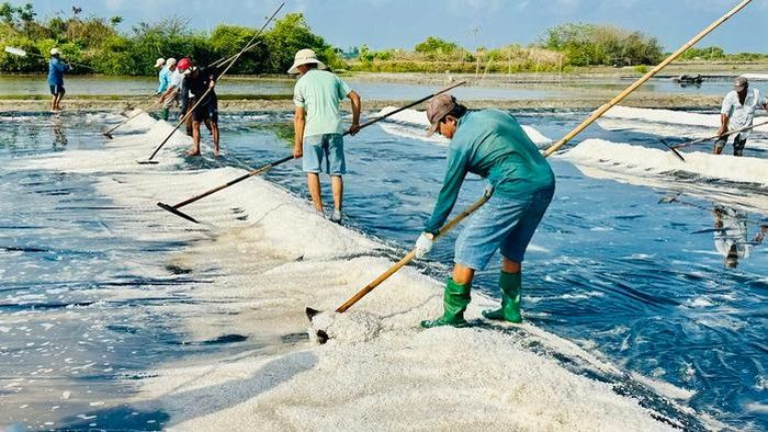 Diêm dân đang từng bước chuyển mình với công nghệ mới, giúp tăng năng suất, tăng lợi nhuận
