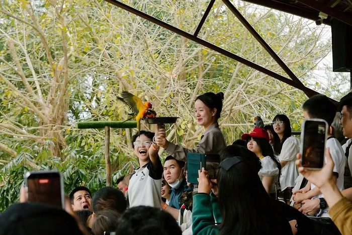 Những nụ cười thích thú trước các trải nghiệm mới mẻ tại VinWonders.