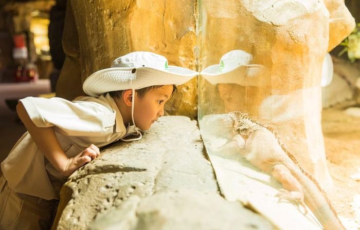 Những trải nghiệm thực tế cùng động vật đang trở thành lựa chọn được nhiều gia đình ưu tiên trong mùa hè.