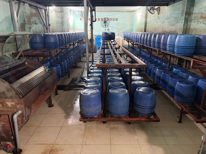 Bên trong một cơ sở sản xuất giá đỗ. Ảnh: CACC