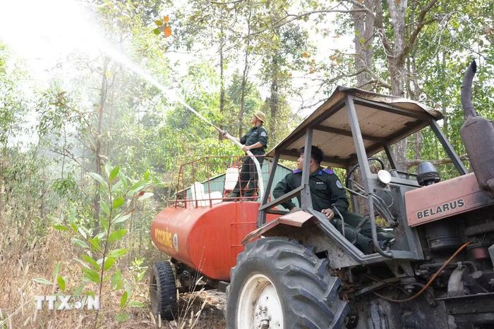 Diễn tập phòng cháy chữa cháy rừng cho các lực lượng bảo vệ rừng Lò Gò-Xa Mát. (Ảnh: Minh Phú/TTXVN)
