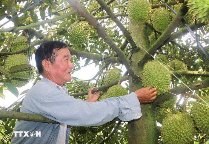 Đơn giản hóa điều kiện kinh doanh. Ảnh minh họa. (Nguồn ảnh: TTXVN)