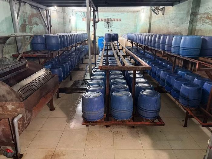 Một trong các cơ sở sản xuất giá đỗ bị Phòng Cảnh sát kinh tế Công an TP. Hồ Chí Minh kiểm tra, phát hiện hàng trăm lu nhựa chứa giá đỗ cùng dung dịch pha chế có chứa chất 6-Benzylaminopurine vào tháng 5/2025. (Ảnh: PV/Vietnam+)