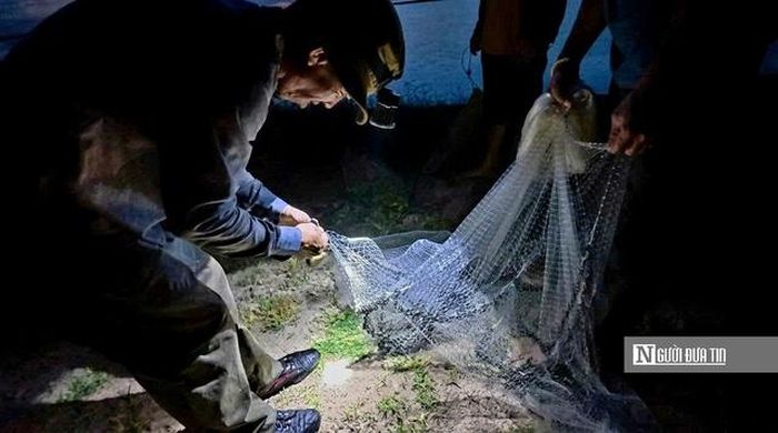 Từ những căn nhà sàn dựng tạm ven mép nước, tiếng máy ghe nổ giòn vang lên giữa không gian tĩnh lặng, những người đàn ông mang theo lưới, chài... rồi lặng lẽ xuôi ghe ra lòng hồ, bắt đầu một ngày mưu sinh mới.