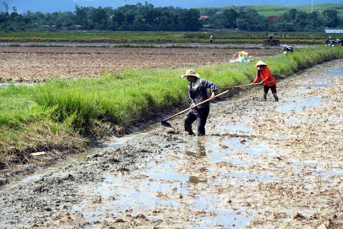 Công tác rà soát nguồn nước, kiểm tra hệ thống thủy lợi, xây dựng phương án điều tiết nước phục vụ sản xuất vụ Hè Thu được nông dân các địa phương tỉnh Quảng Trị đặc biệt chú trọng. Ảnh: Tá Chuyên - TTXVN 
