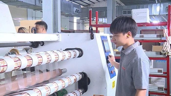 Công nhân Công ty Hợp Lợi Thịnh trong ca sản xuất.