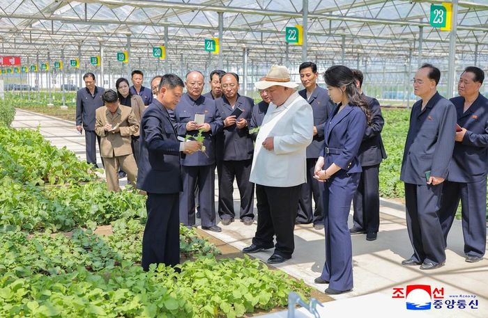 Nhà lãnh đạo Triều Tiên Kim Jong-un cùng con gái thị sát trang trại nhà kính tổng hợp Sinuiju. Ảnh: Yonhap