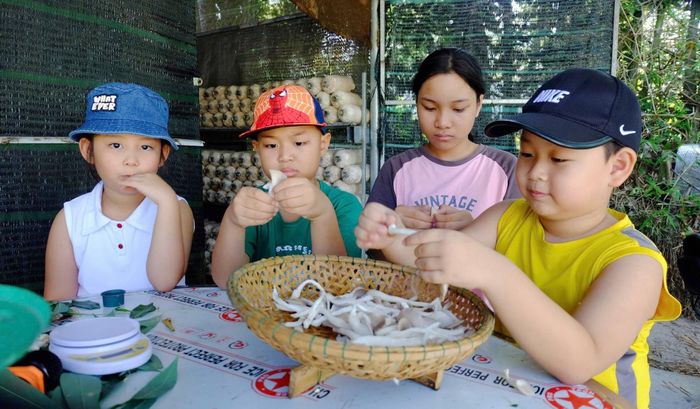 Các học viên của Câu lạc bộ Kỹ năng sống Cánh Diều trải nghiệm chế biến món ăn từ nấm bào ngư. Ảnh: PHAN VINH