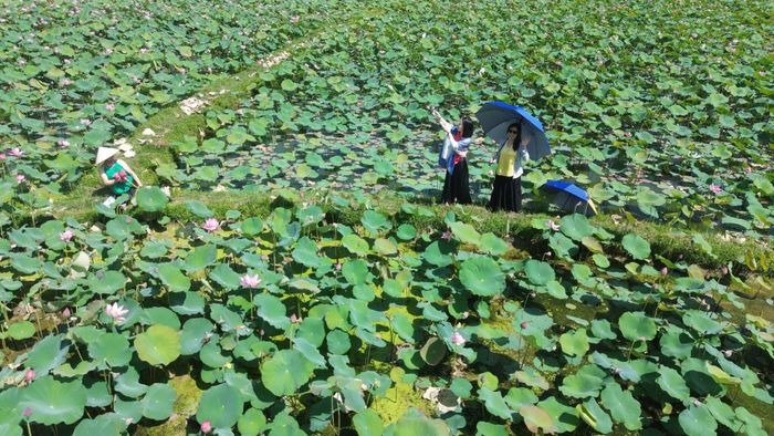 Bên cạnh giá trị nông nghiệp, Trà Lý có tiềm năng phát triển du lịch trên nền cảnh quan thơ mộng. Ảnh: SƠN - UYÊN