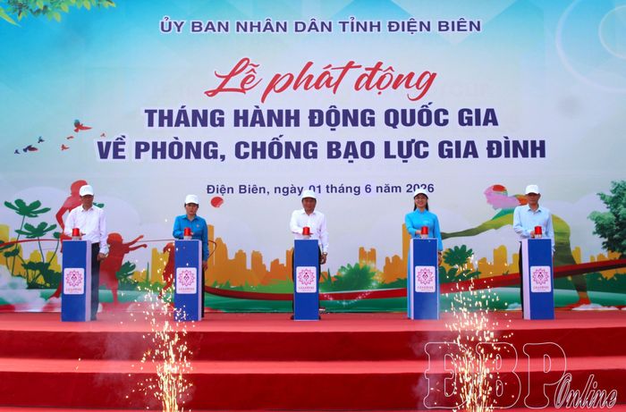 Đại biểu thực hiện nghi thức nhấn nút phát động Tháng hành động quốc gia về phòng, chống bạo lực gia đình.