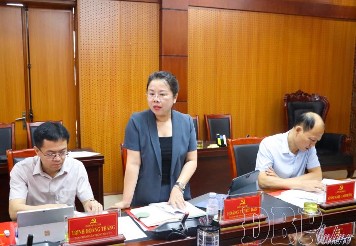 Lãnh đạo Sở Giáo dục và Đào tạo làm rõ các ý kiến của tổ giám sát.