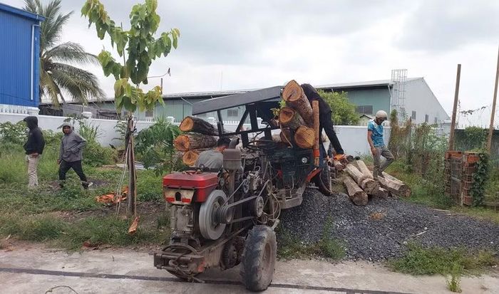 Lực lượng chức năng tạm giữ phương tiện vận chuyển lâm sản trái pháp luật. Ảnh: N.D