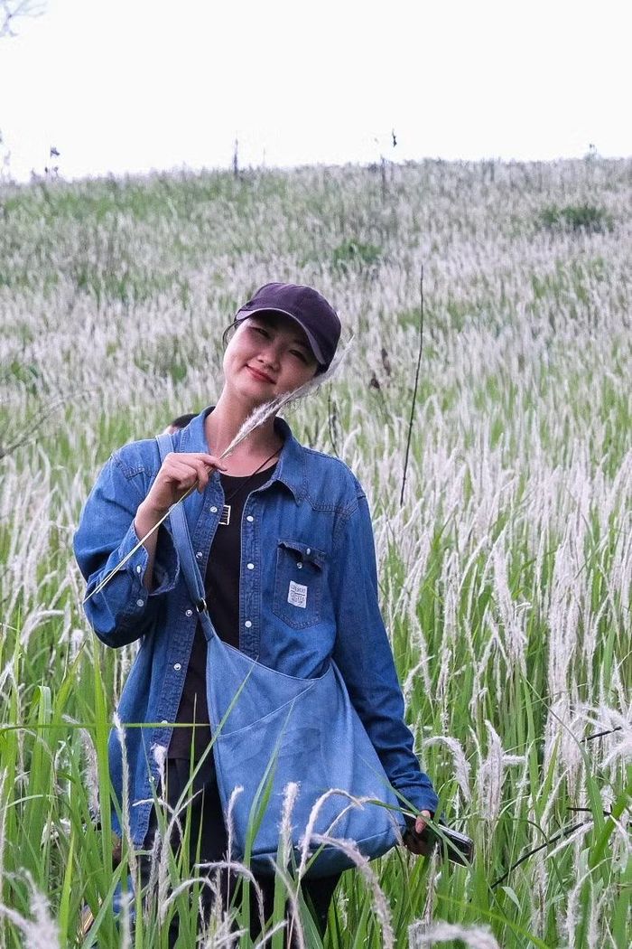 Những bông cỏ tranh mềm như nhung là điểm nhấn quyến rũ giữa núi đồi đầu mùa mưa. Ảnh: Hoàng Ngọc
