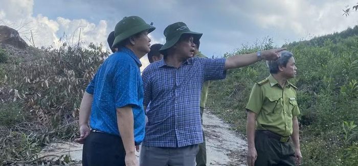  Phó Chủ tịch UBND tỉnh Dương Mah Tiệp (thứ 2 từ trái sang) kiểm tra vùng trồng giống cây bản địa tại tiểu khu 17, xã An Vinh. Ảnh: X.Đ 