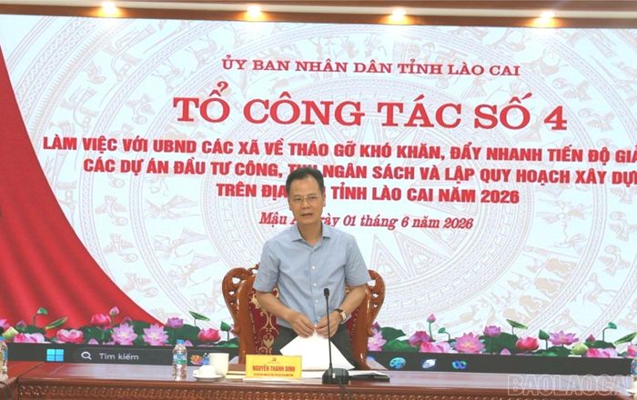 Đồng chí Nguyễn Thành Sinh - Phó Chủ tịch UBND tỉnh phát biểu kết luận buổi làm việc.