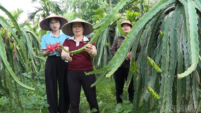 Người dân tích cực áp dụng các tiến bộ khoa học kỹ thuật vào sản xuất, thực hiện quy trình chăm sóc an toàn.