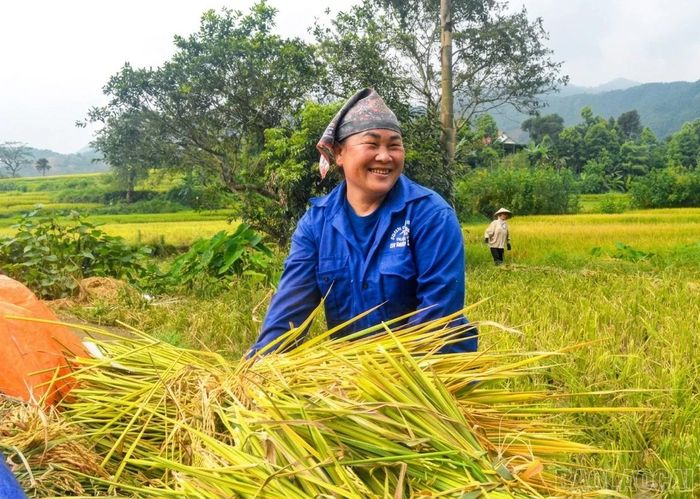 Niềm vui được mùa của chị Hà Thị Lan.