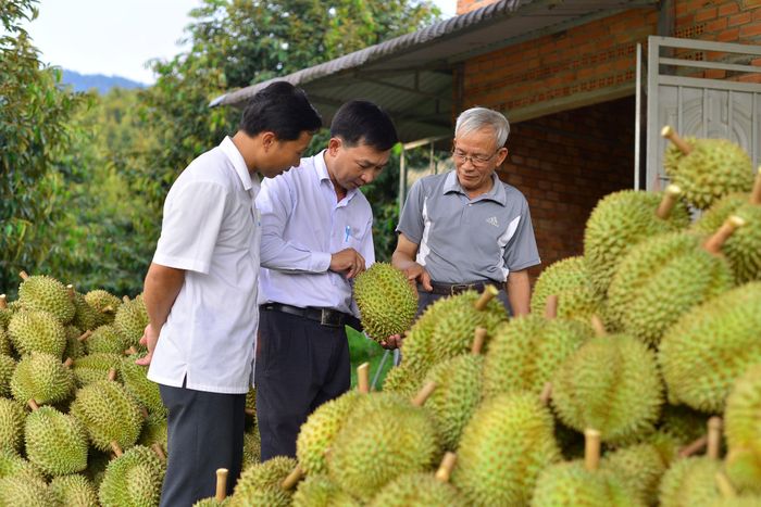 Những thành viên trong CLB Nông dân tỷ phú
