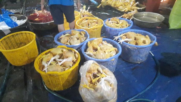 Các cơ sở giết mổ động vật ( vịt) tại các địa điểm không được cơ quan Nhà nước có thẩm quyền cho phép bị lực lượng Công an phát hiện.