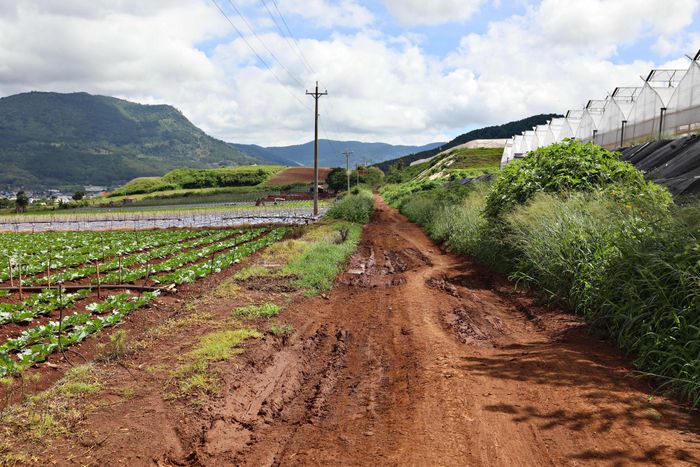 Tuyến nội đồng ĐH12 dài khoảng 3 km, xã Đơn Dương xuống cấp gây khó khăn cho việc đi lại, vận chuyển nông sản