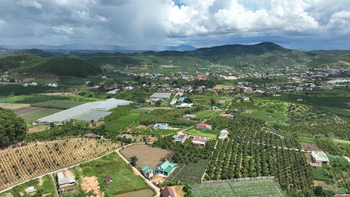 Hầu hết các tuyến đường giao thông nông thôn trên địa bàn tỉnh được đầu tư, nâng cấp đáp ứng nhu cầu đi lại, phục vụ sản xuất của người dân