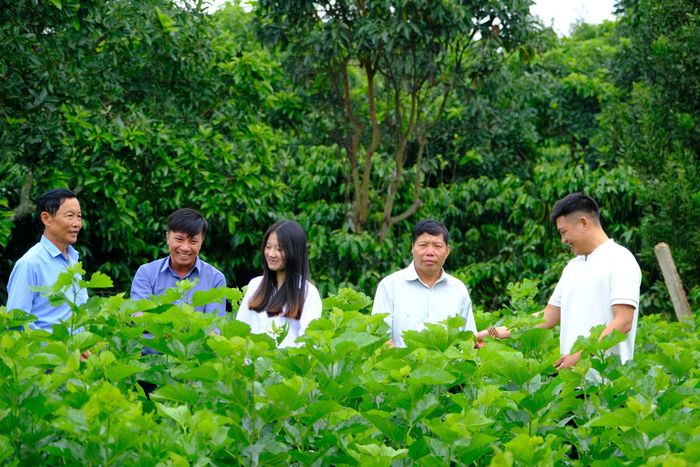 Những đảng viên trẻ tại thôn Phúc Thọ 2 từng bước trưởng thành từ thực tiễn đời sống địa phương