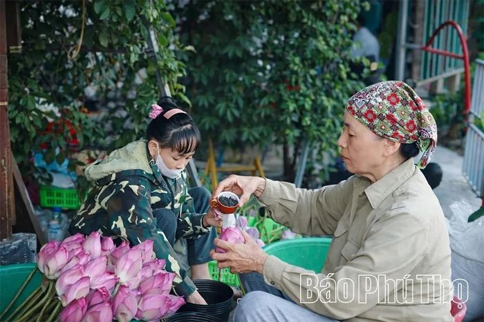 Các thành viên HTX ướp trà sen.