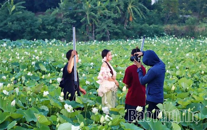 Các bạn trẻ cùng ekip chụp các bộ ảnh với sen.