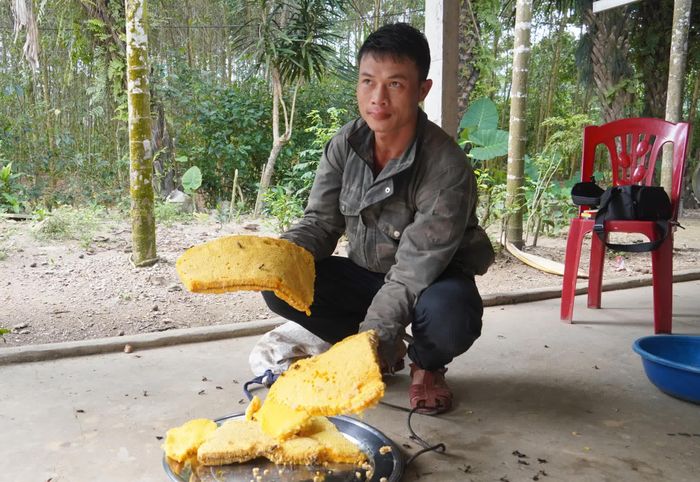 1kg thơờng ong bán khoảng 100 nghìn đồng, cả tổ ong này anh Quyết bán được khoảng 700 nghìn đồng - Ảnh: X.V