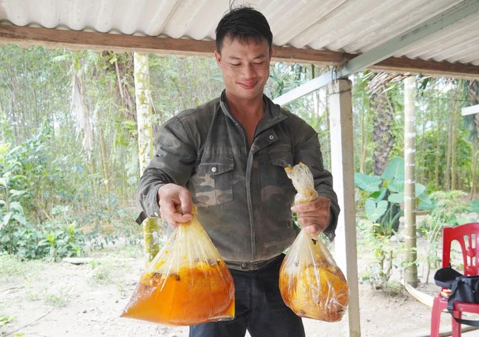 Thành quả của anh Đinh Hữu Quyết sau qua trình săn ong mật vất vả, nguy hiểm là những túi mật thơm ngon - Ảnh: X.V