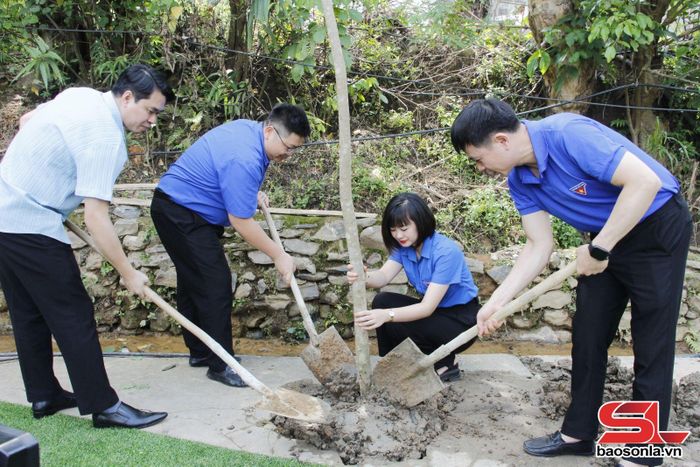 Lãnh đạo phường Chiềng Cơi, đoàn viên các chi đoàn tham gia trồng cây xà cừ.